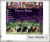 Peruvian Horses Custom Web Deisgn