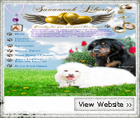 Savannah Liberty E-Commerce Website Design